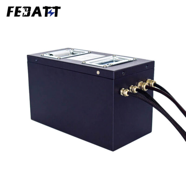 Custom 48V 60Ah NMC Battery for Handcart with RS485 CAN