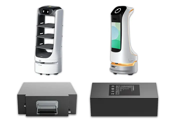 Robot Battery (3)