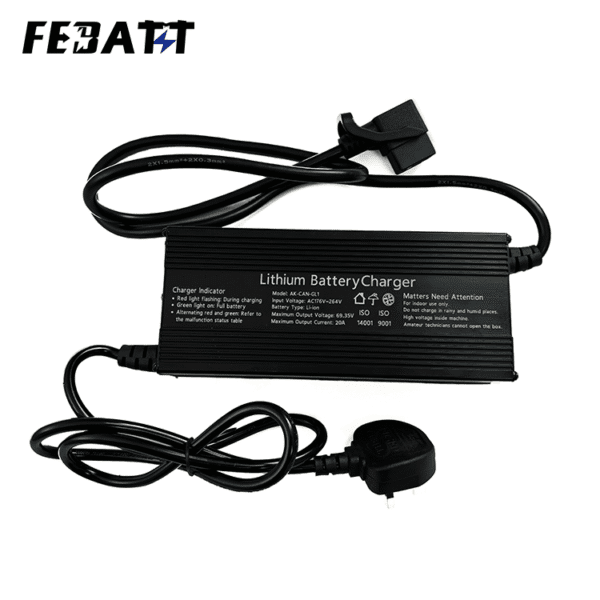 CE Certified Lithium Battery Charger
