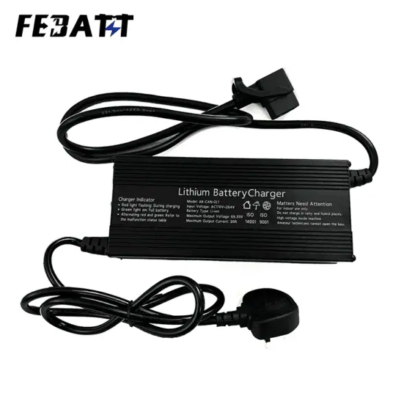 CE Certified Lithium Battery Charger